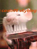 brosse
